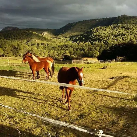 Masia El Parral Country house